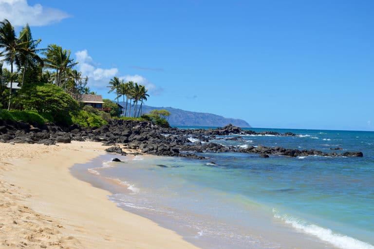 Best North Shore Beaches On Oahu Islands