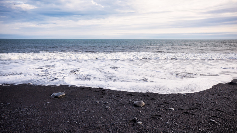 Black Sand Beach in Iceland