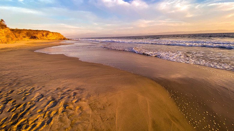 beach with orange sand