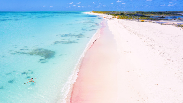 pink beach on Harbour Island