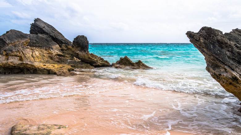 pink sands of Horseshoe Bay Beach