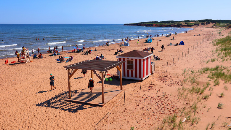 red sands of  Cavendish Beach