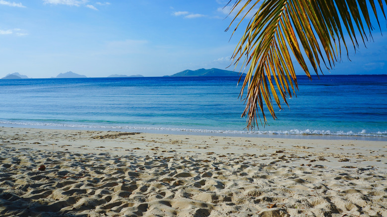 beach in Fiji