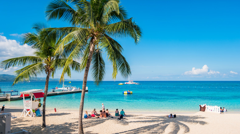 Doctor's Cave Beach palm trees