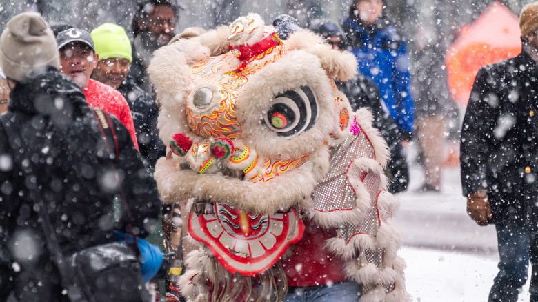 is chinese new year and vietnamese new year the same