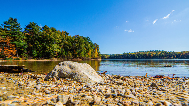 Rocky beach by Walden Pond