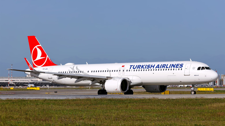 A Turkish Airlines Airbus 231neo