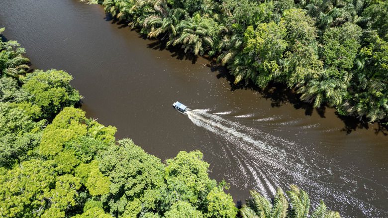 Tortuguero river cruise