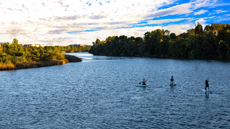 Women paddleboarding in Napa River