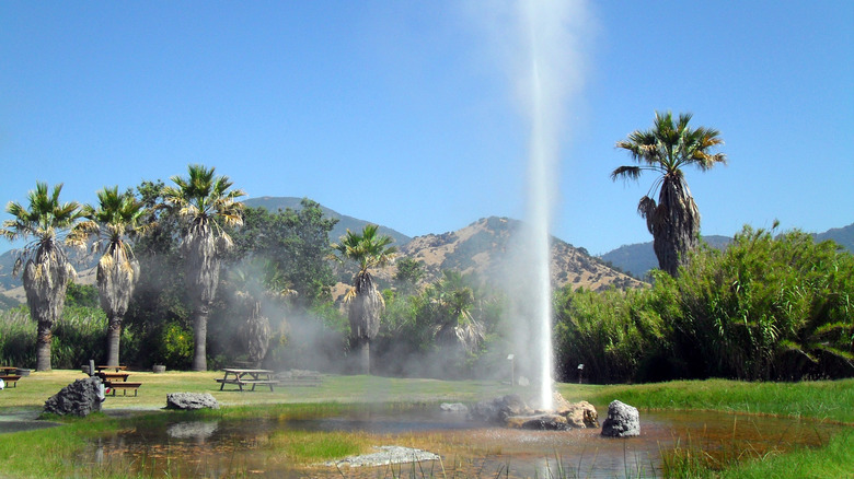 Geyser hot spring in Calistoga