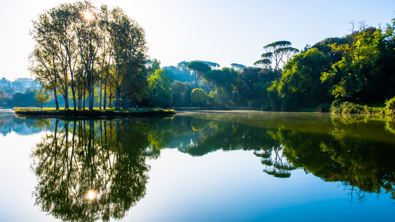 Pond in Villa Ada reflecting trees