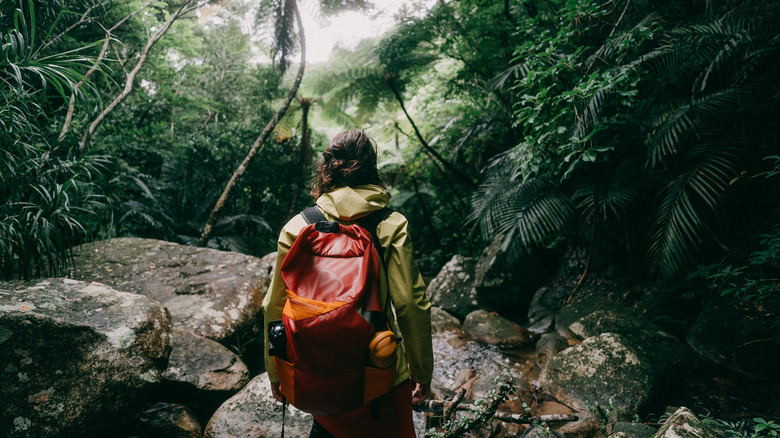 Man walking through rainforest