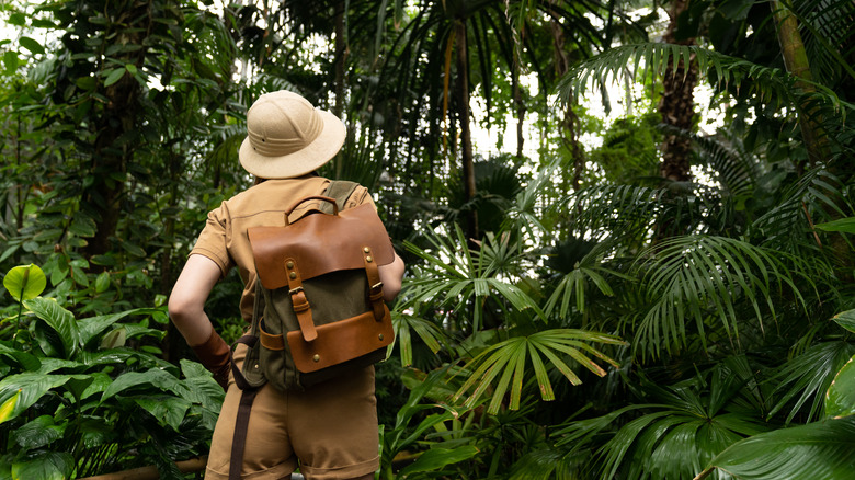 Woman Walking into a jungle