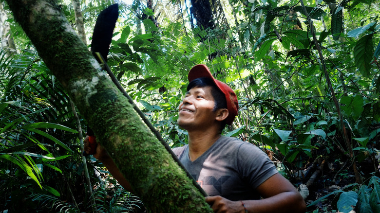 Man using machete in rainforest