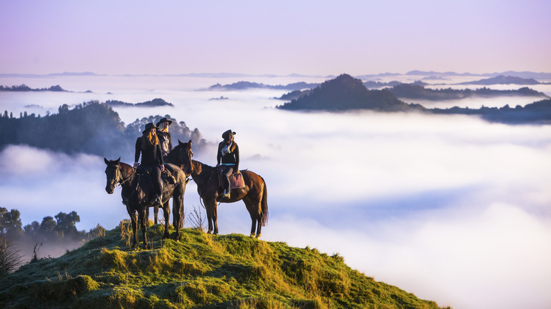 Horseback riding atop a hill in the jungle