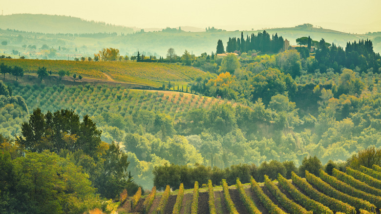 The scenic Chianti countryside