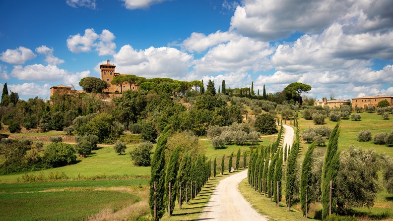 Road leading up to an Italian villa