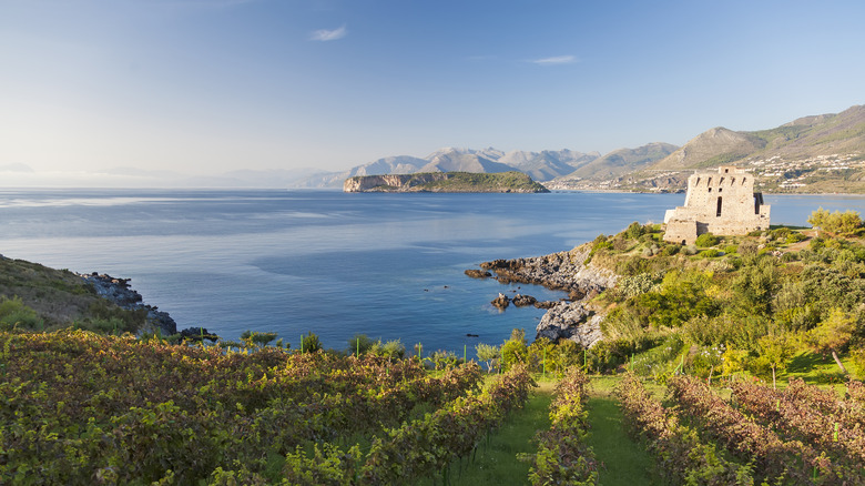 Beautiful Calabrian countryside