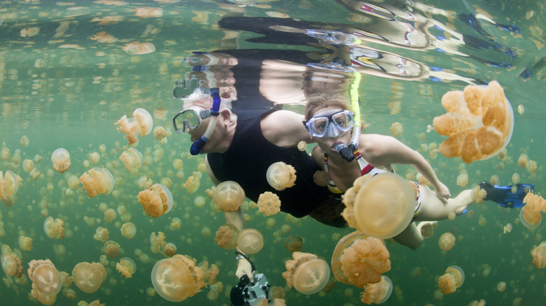 Female snorkeler swimming in the ocean