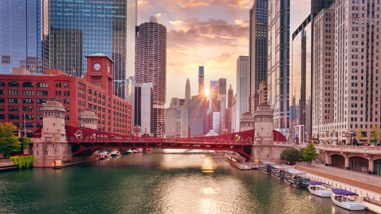 Chicago cityscape in the fall