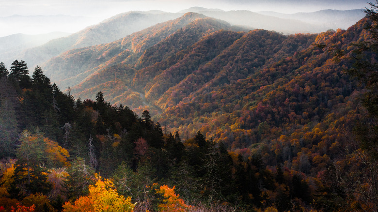 Fall in Gatlinburg, TN