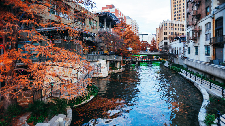 Nature shot of the San Antonio Riverwalk