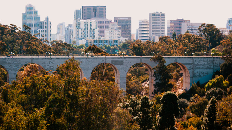 Fall foliage in San Diego, CA