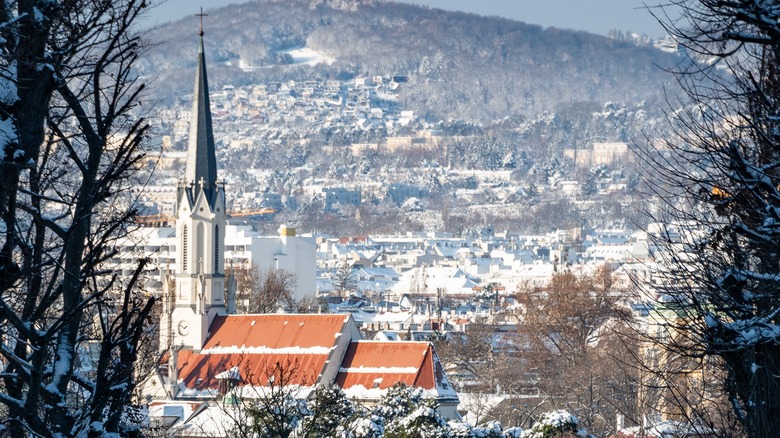 Vienna in winter.