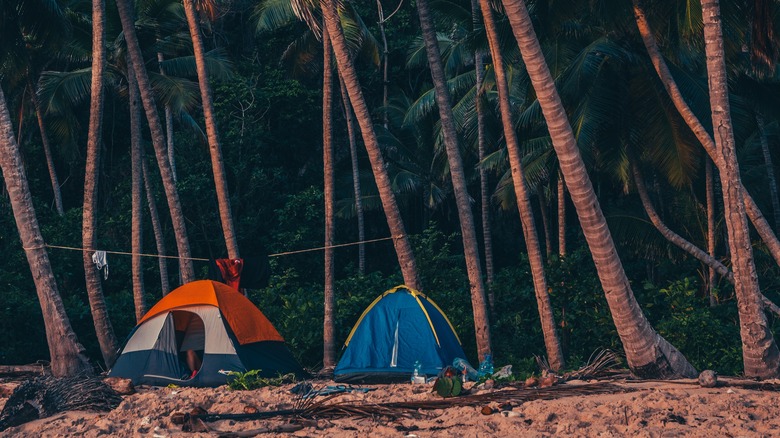 Camping on a beach