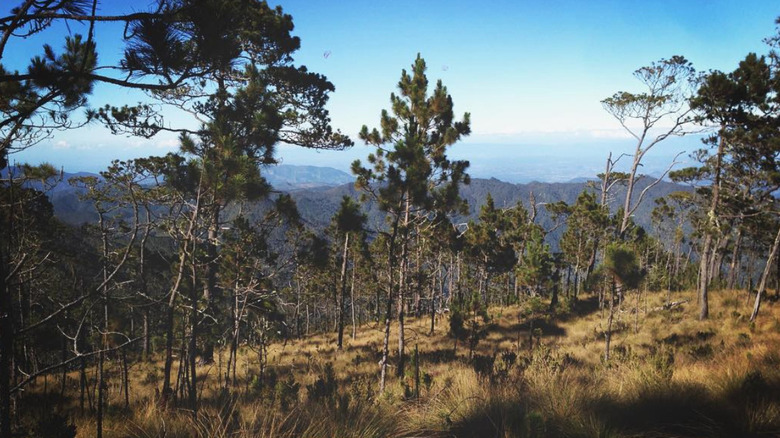 View from Pico Duarte