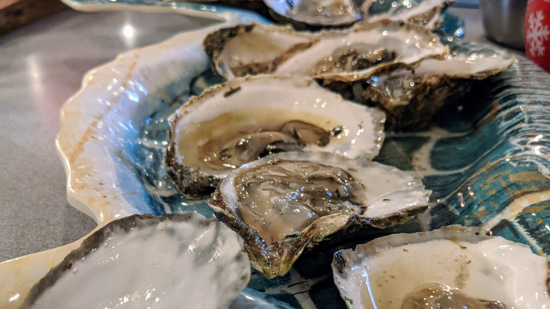 Half shell Wellfleet oysters