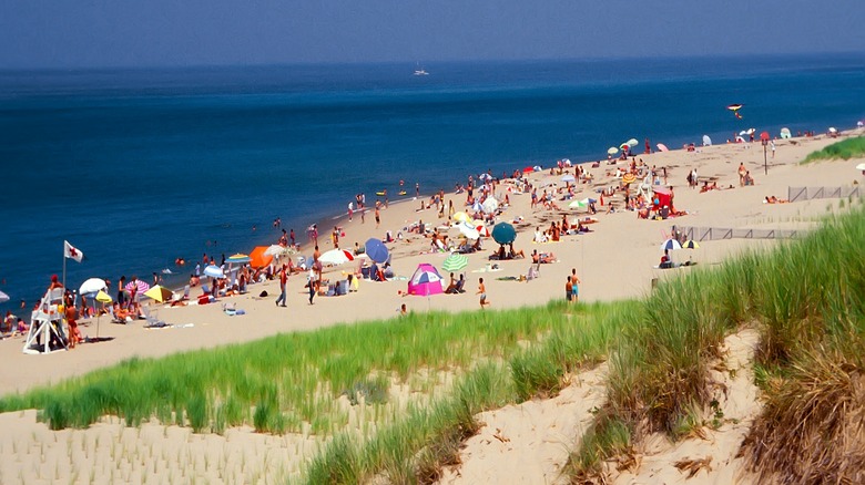 Swimmer on the Cape Cod National Seashore