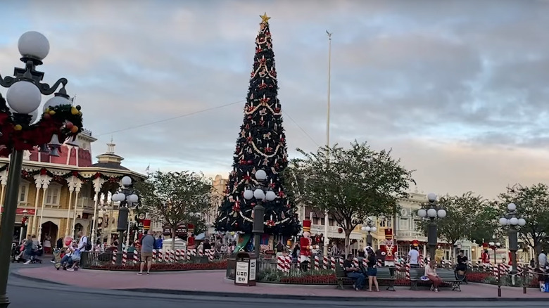 Magic Kingdom during the holidays