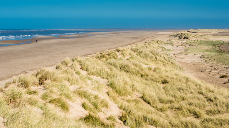 Sand dunes and ocean