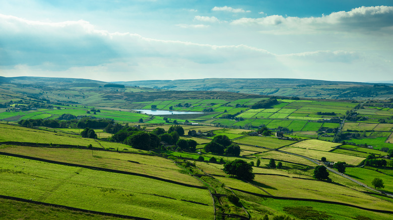 Fields in Keighley, West Yorkshire