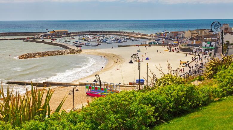 A beach with boats