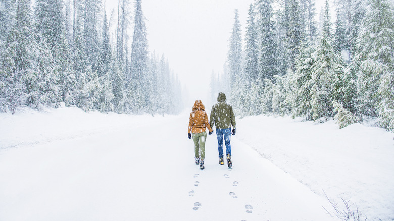 A couple walking in the snow, holding hands