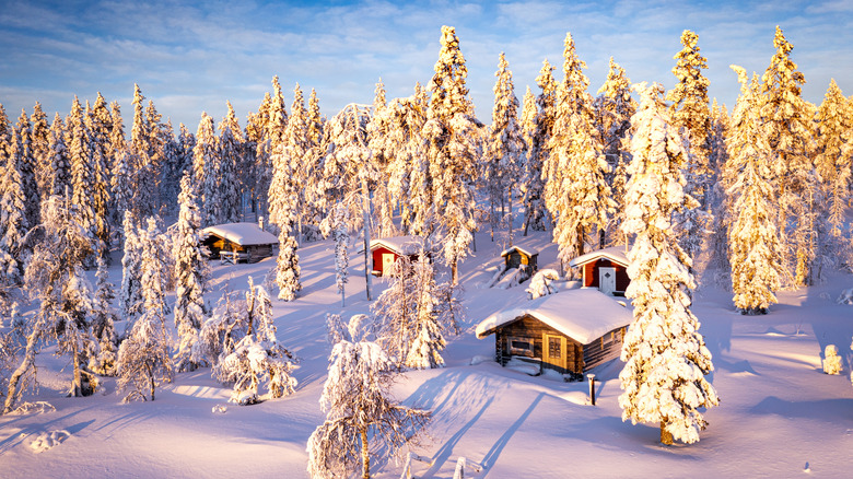 Chalets in the snow with snow-covered trees