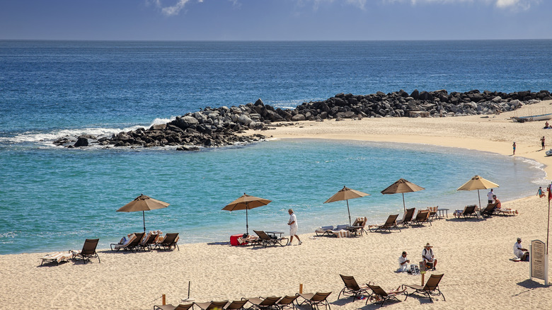 A beach in Cabo San Lucas