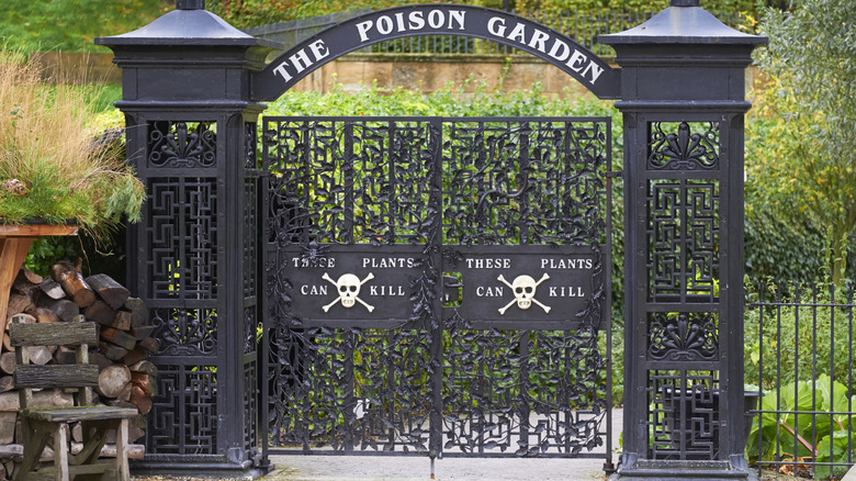 The gates of The Poison Garden in Alnwick, Northumberland.