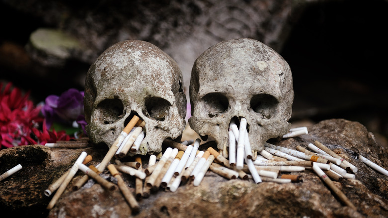 Two skulls surrounded by cigarettes in a cemetary in Toraja, Indonesia.