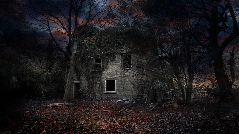 Creepy cottage in the woods