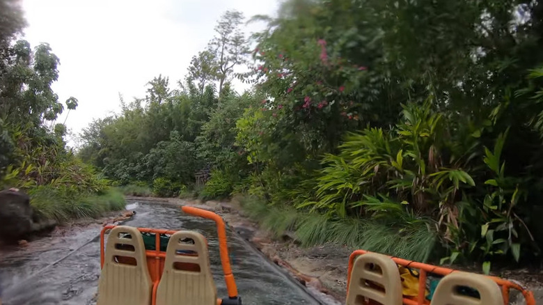 Kali River Rapids water ride