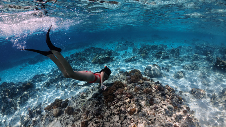 Woman snorkeling in tropical seas