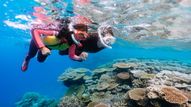 Coral reef in Okinawa