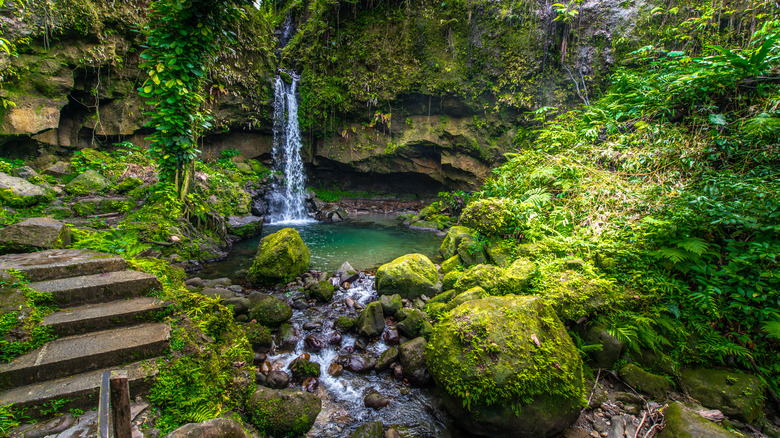 A lush waterfall in Dominica