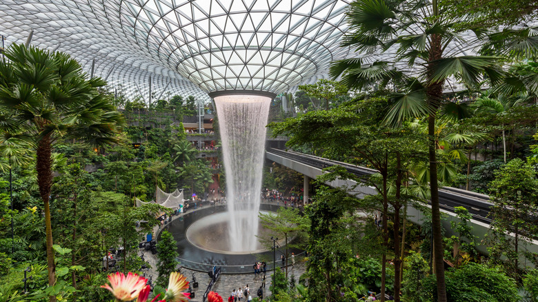 Indoor rainforest at Changi Airport