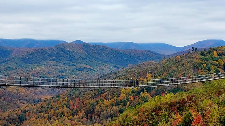 sky bridge mountains fa foliage