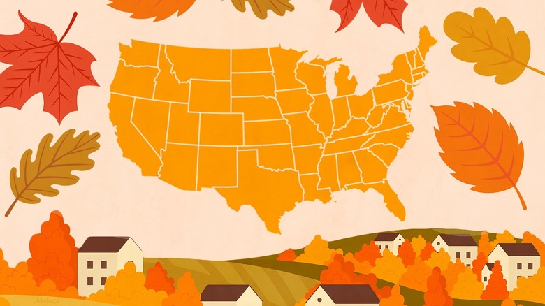 map of US surrounded by leaves