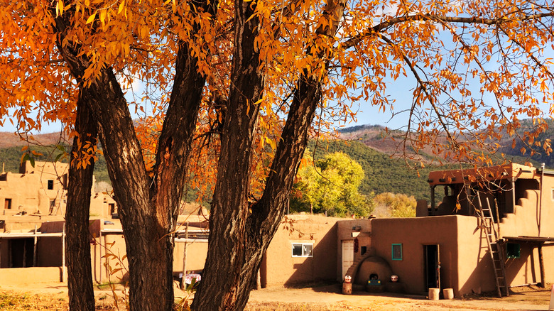 taos adobe house fall leaves